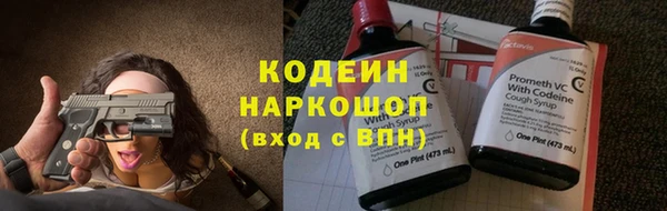 ECSTASY Алзамай